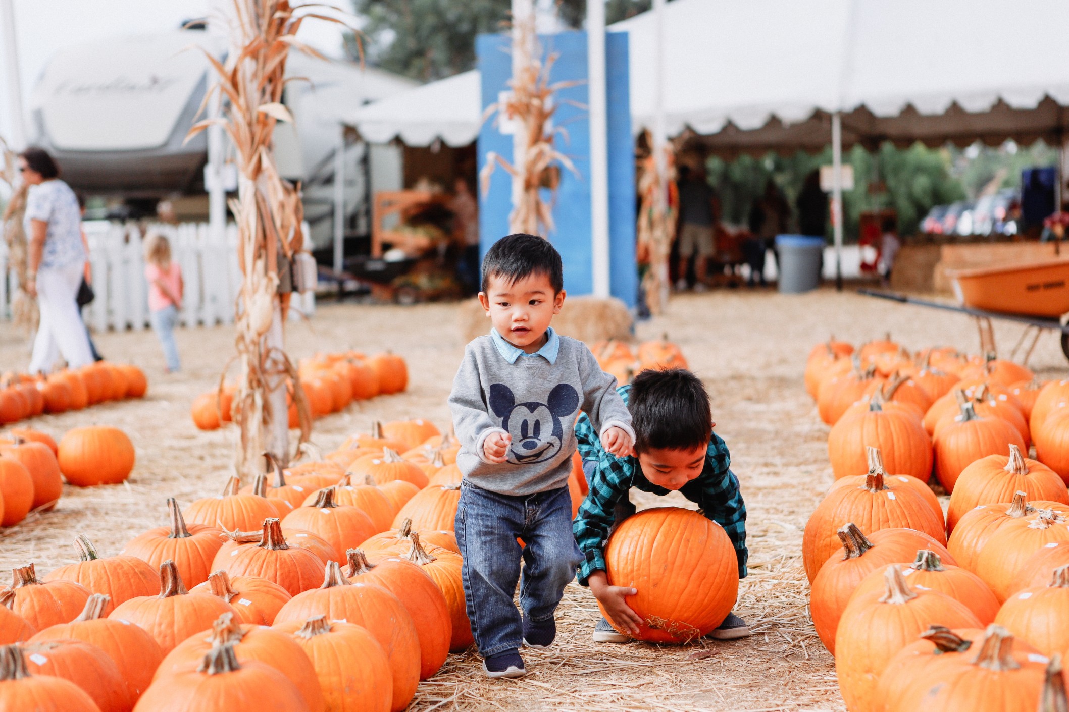 family reunion venues, pavilion rentals for parties, affordable gathering spaces near me